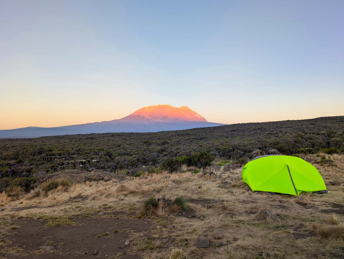 Kilimanjaro – Tag 2: Steil hinauf zum Shira 1 Camp