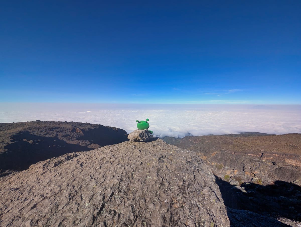 Kilimanjaro – Tag 5: Barranco Wall, Karanga Valley